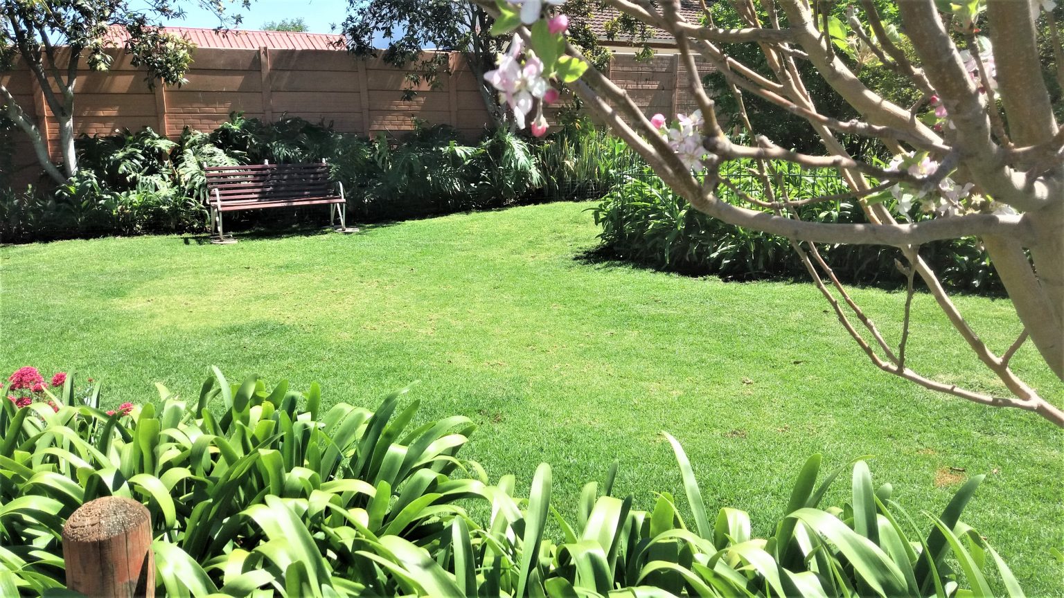 Gallery Bed & Biscuit Cageless Kennels & Grooming